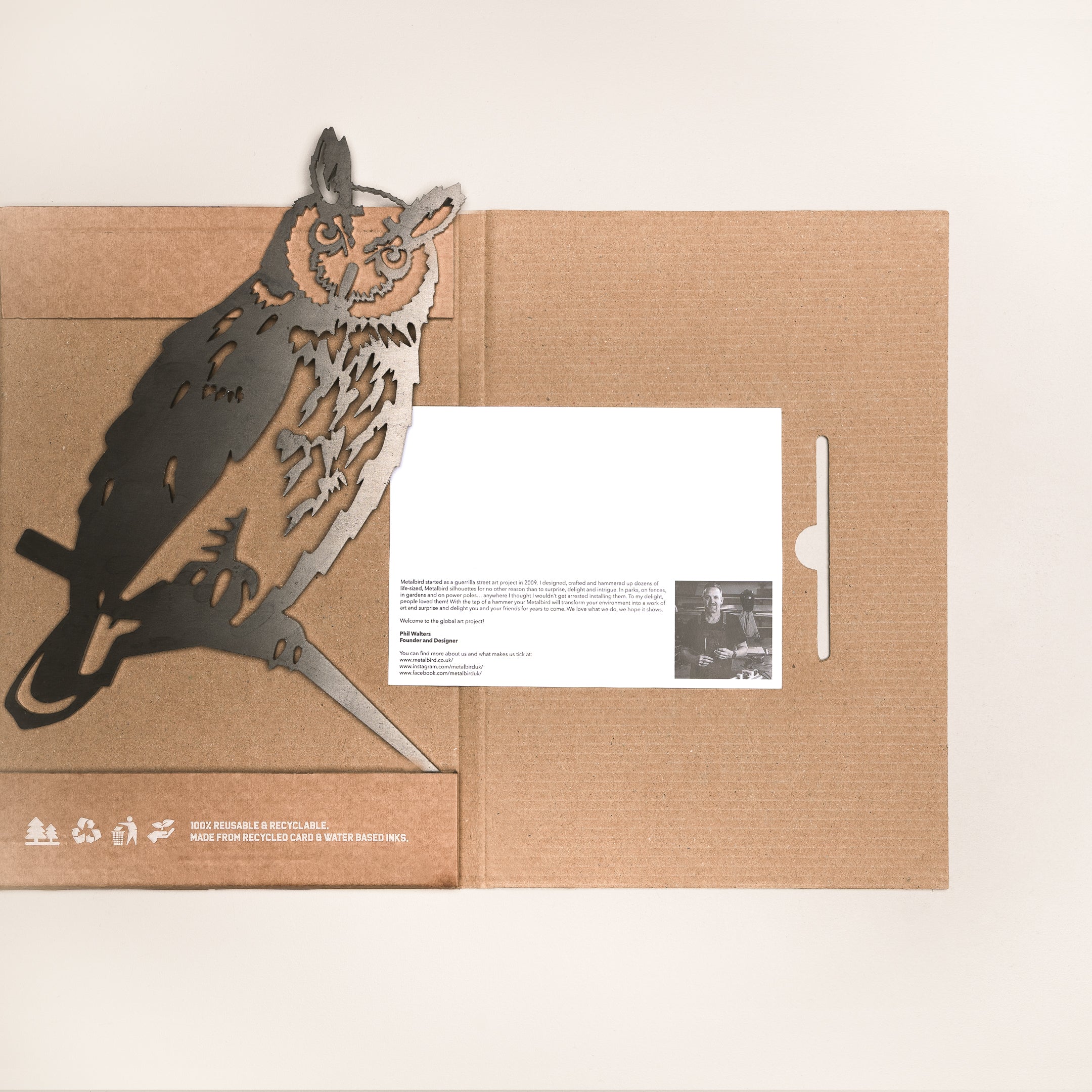 Long-Earred Owl