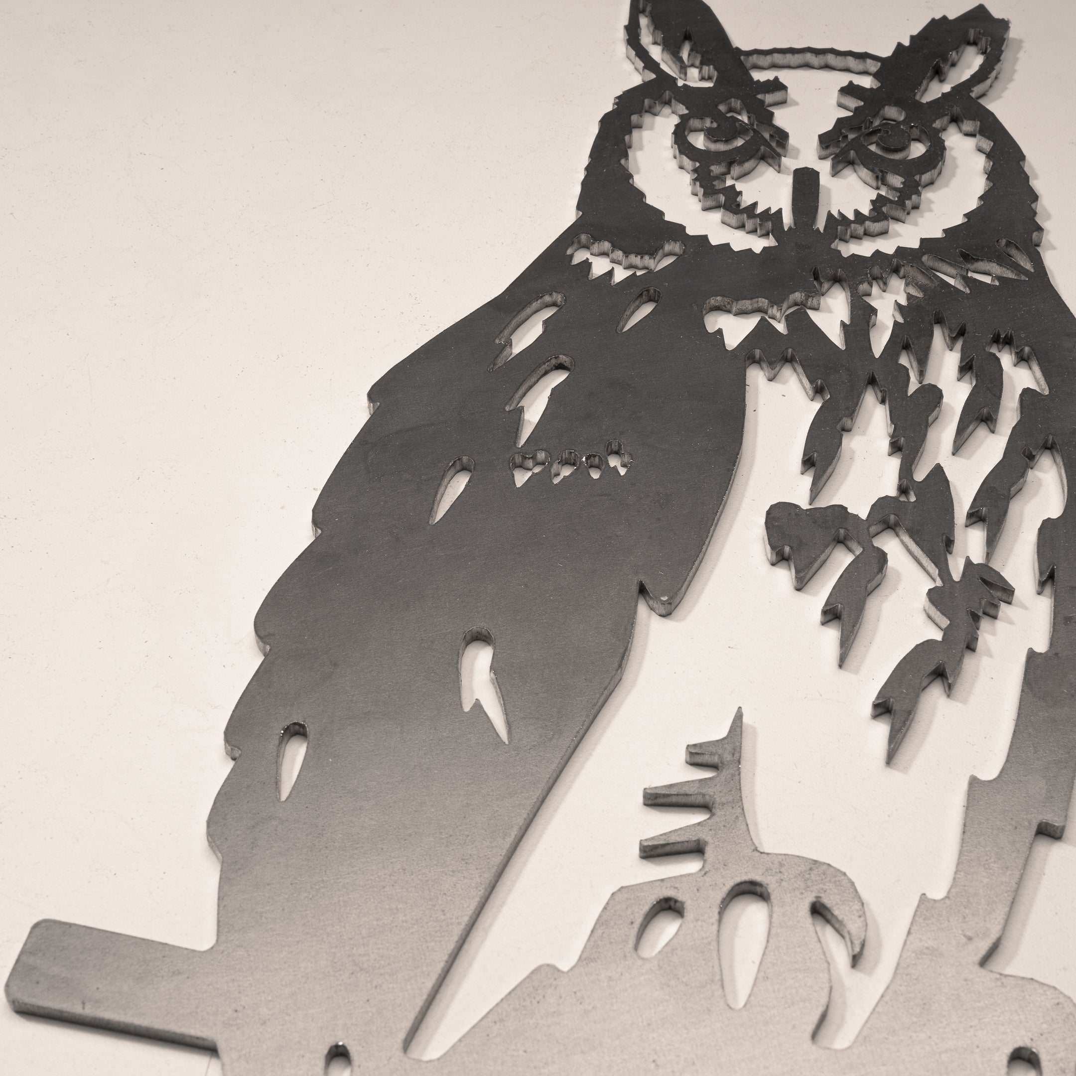 Long-Earred Owl