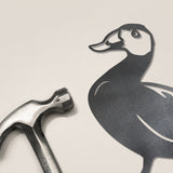 White Headed Duck