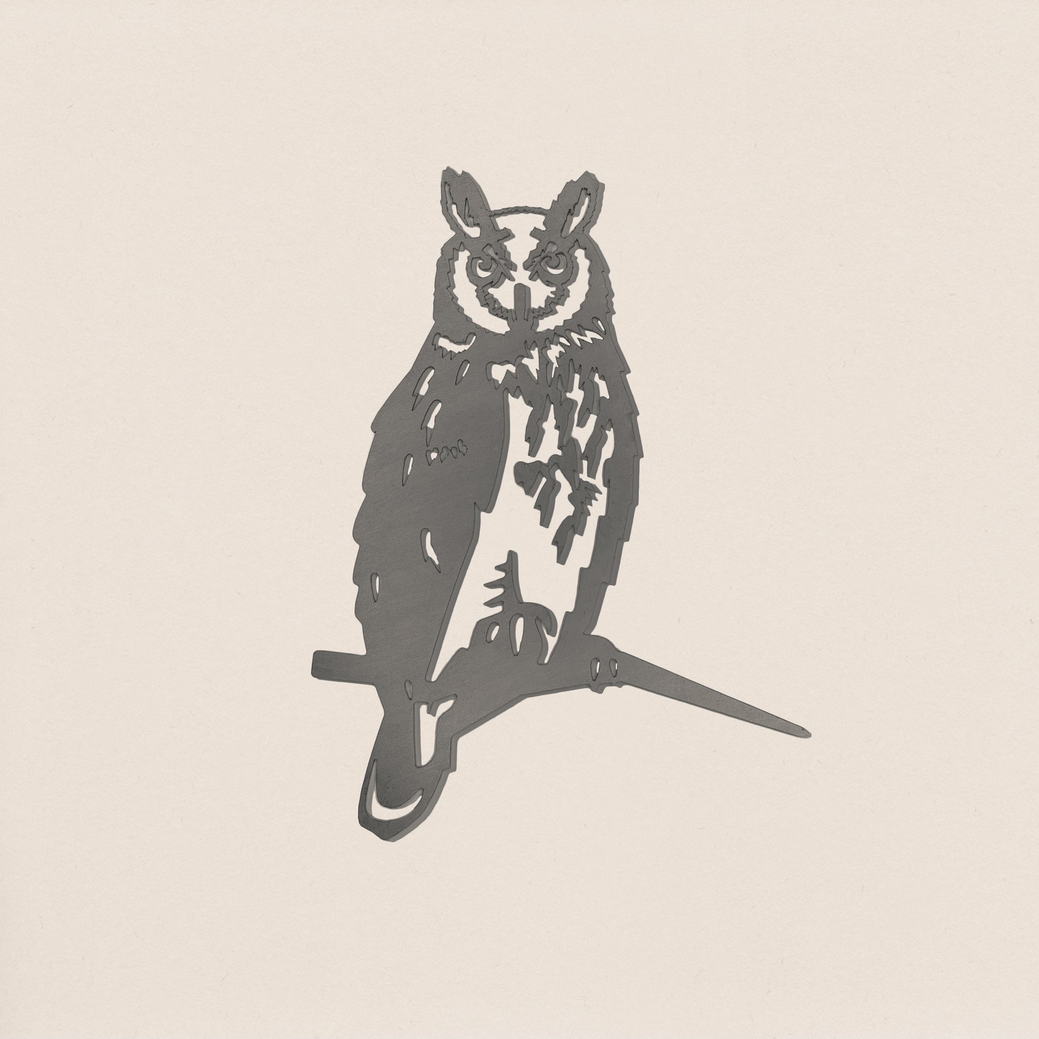 Long-Earred Owl