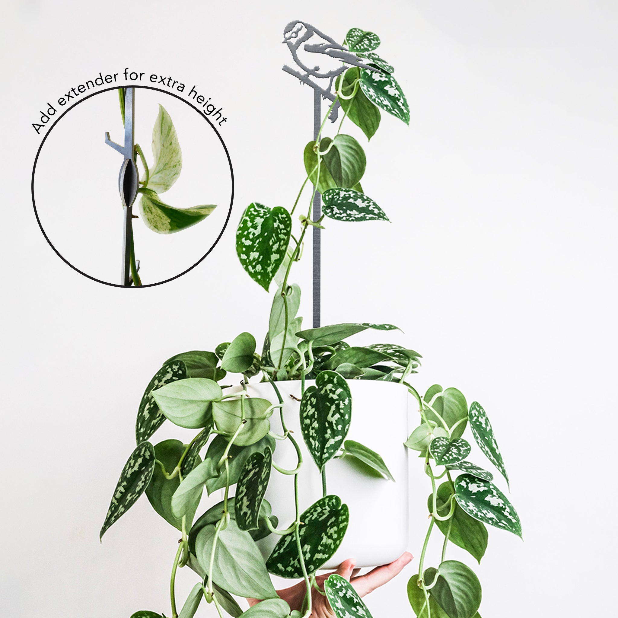 BLUE TIT PLANT STAKE - 70CM