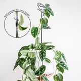 BLUE TIT PLANT STAKE - 70CM