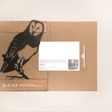 Barn Owl
