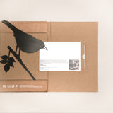 Blackbird