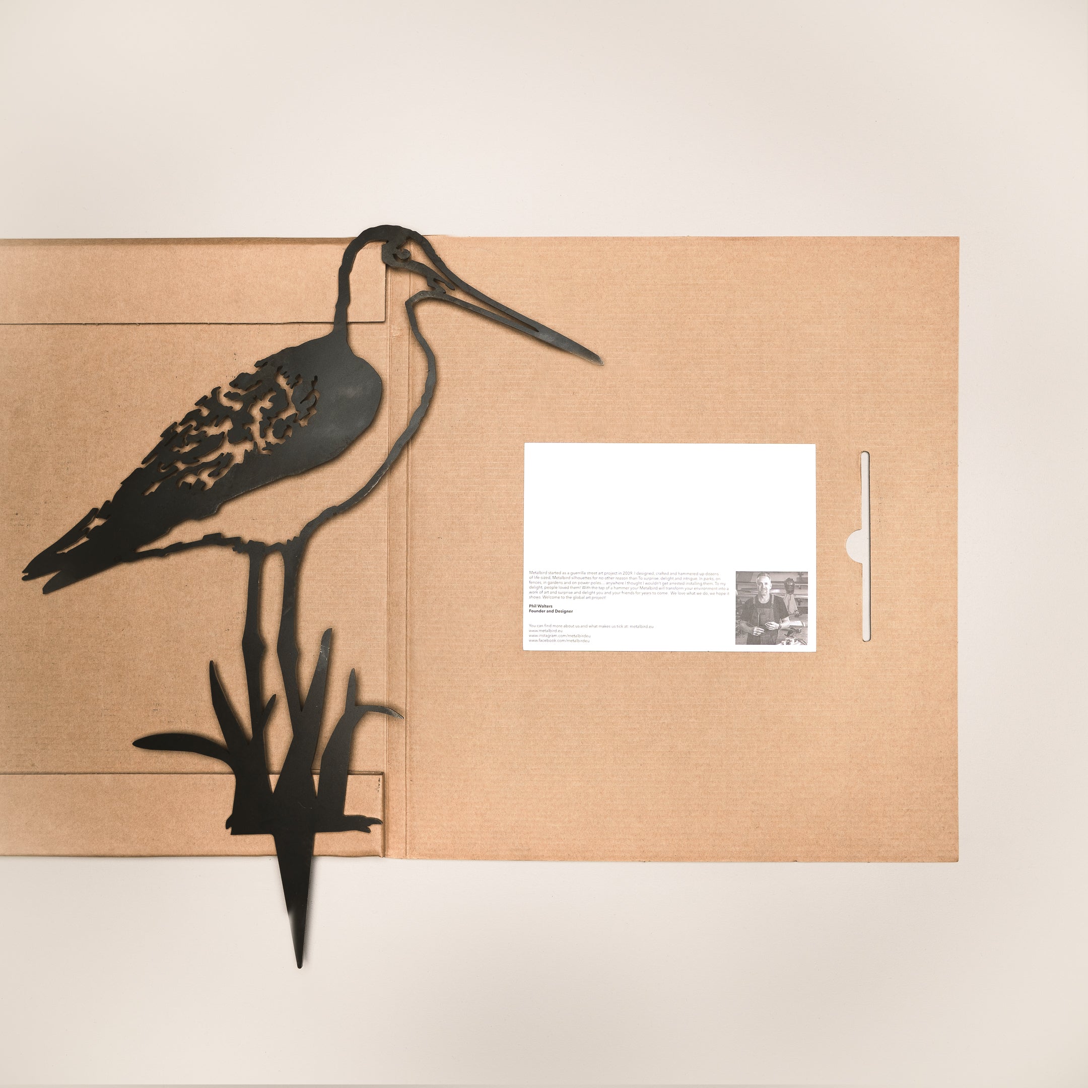 Black-Tailed Godwit