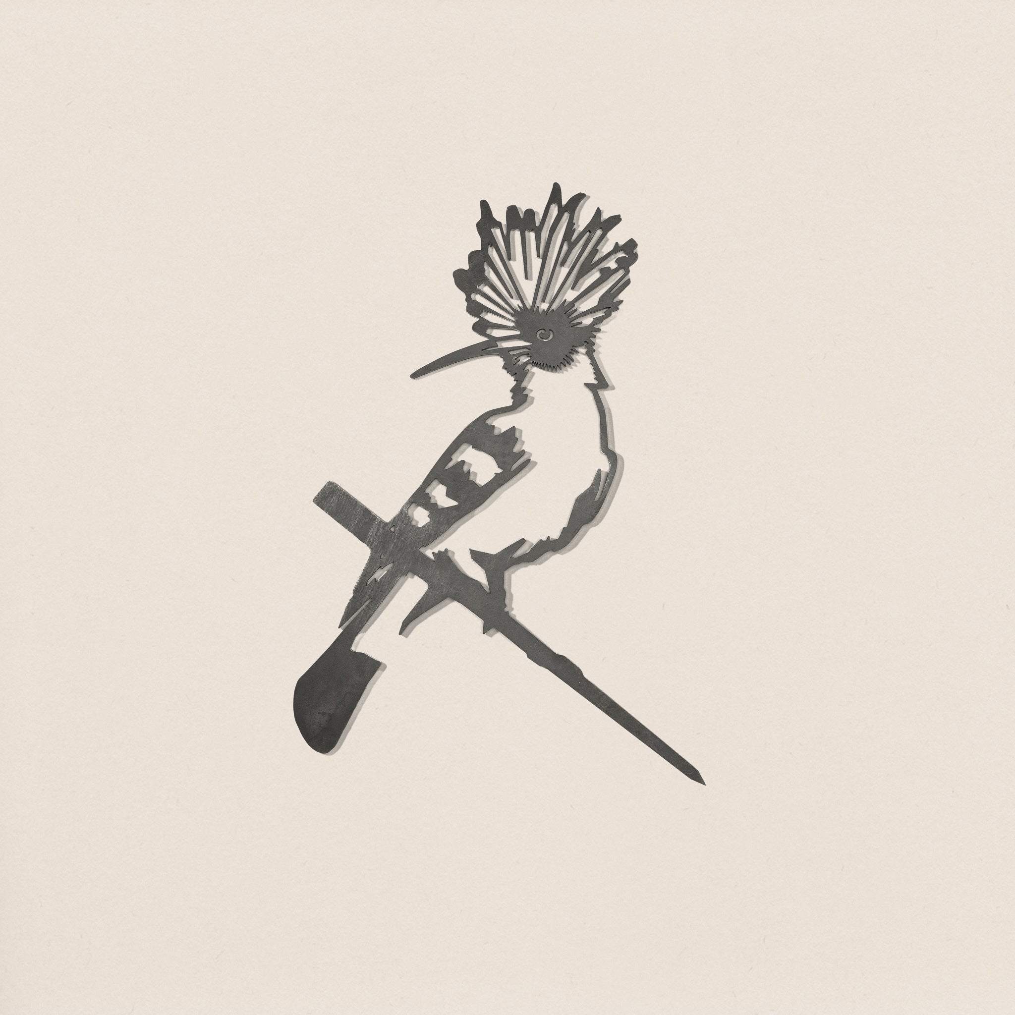 Eurasian Hoopoe
