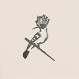 Eurasian Hoopoe