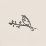Tree Pipit