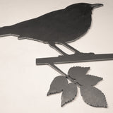 Blackbird