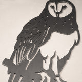 Barn Owl