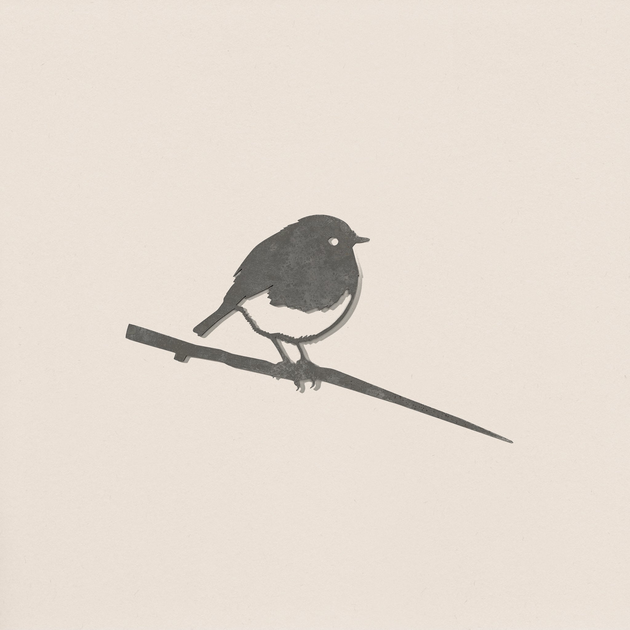 Robin
