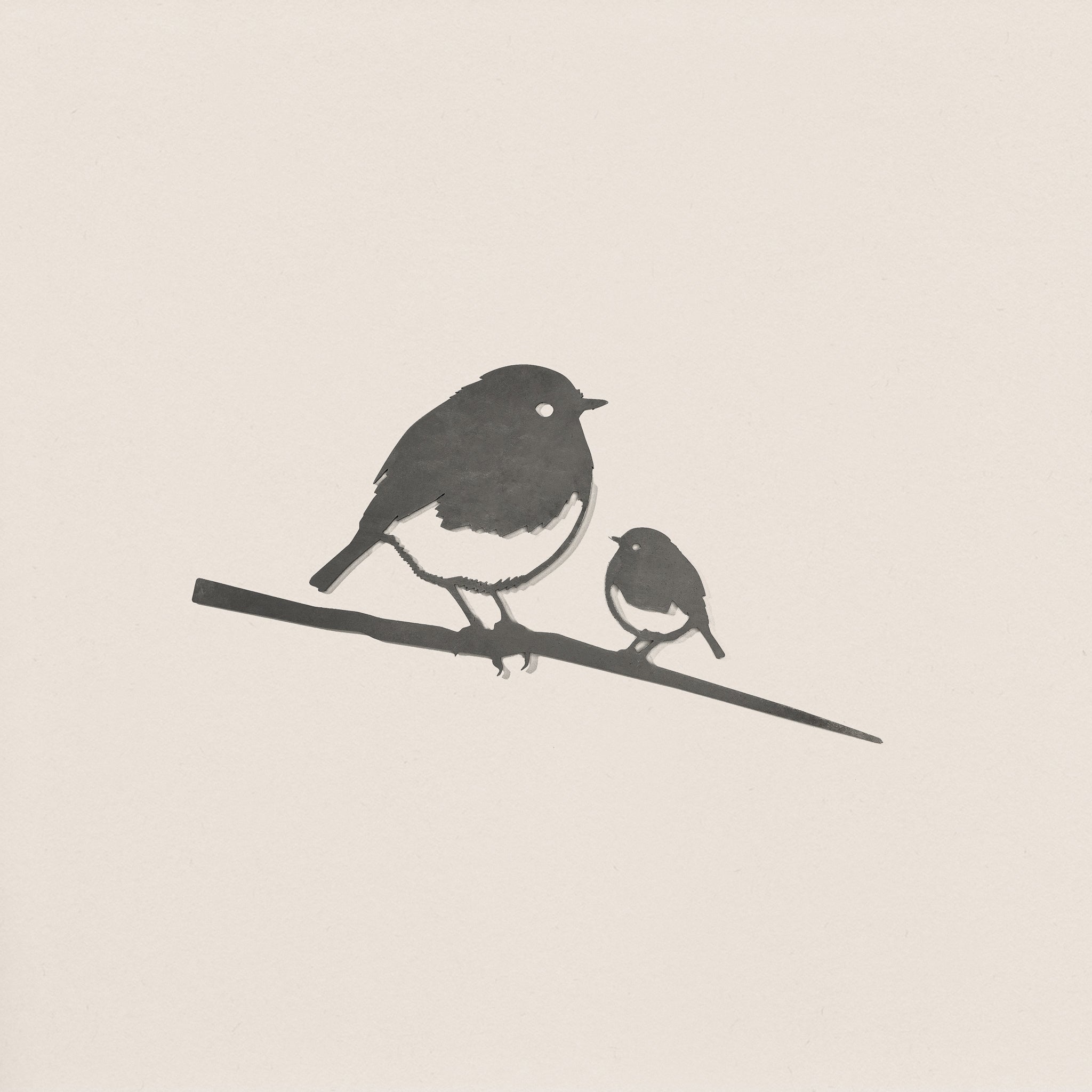 Robin And Chick