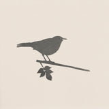 Blackbird