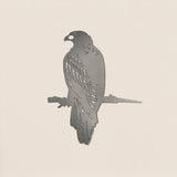 Imperial Eagle