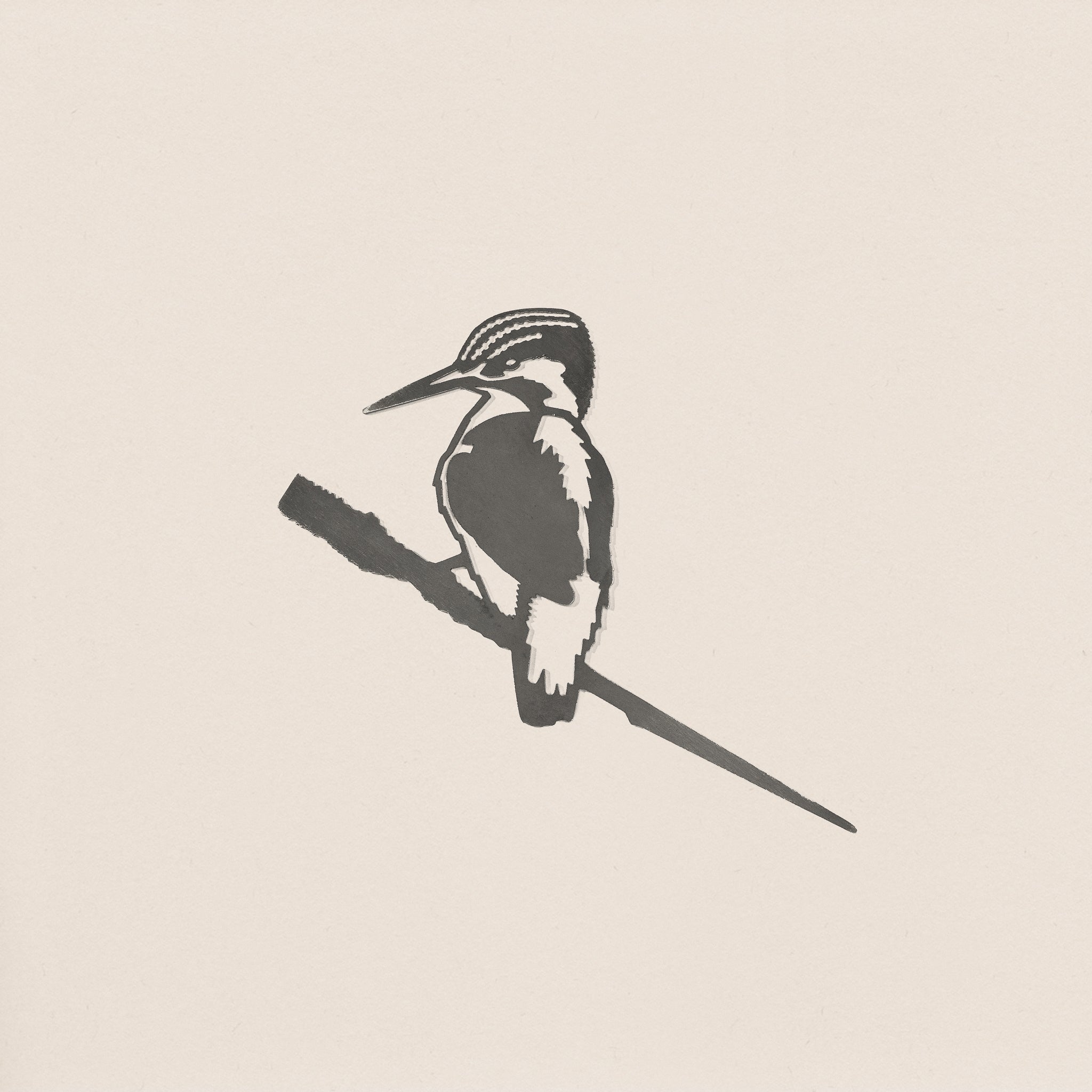 Common Kingfisher