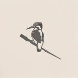 Common Kingfisher