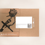 Eurasian Hoopoe