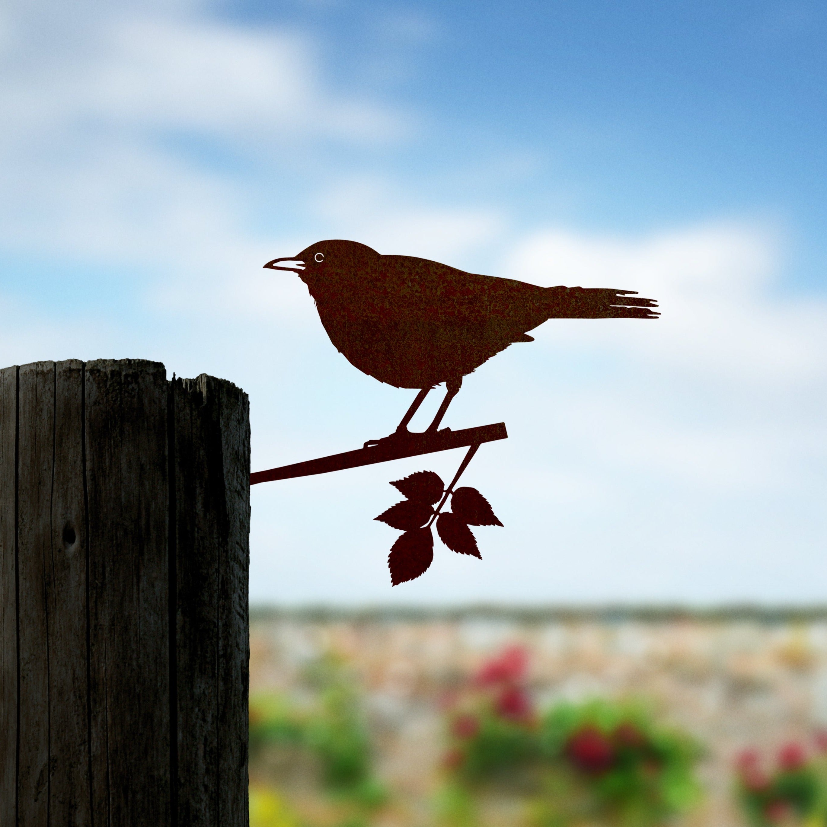 Blackbird
