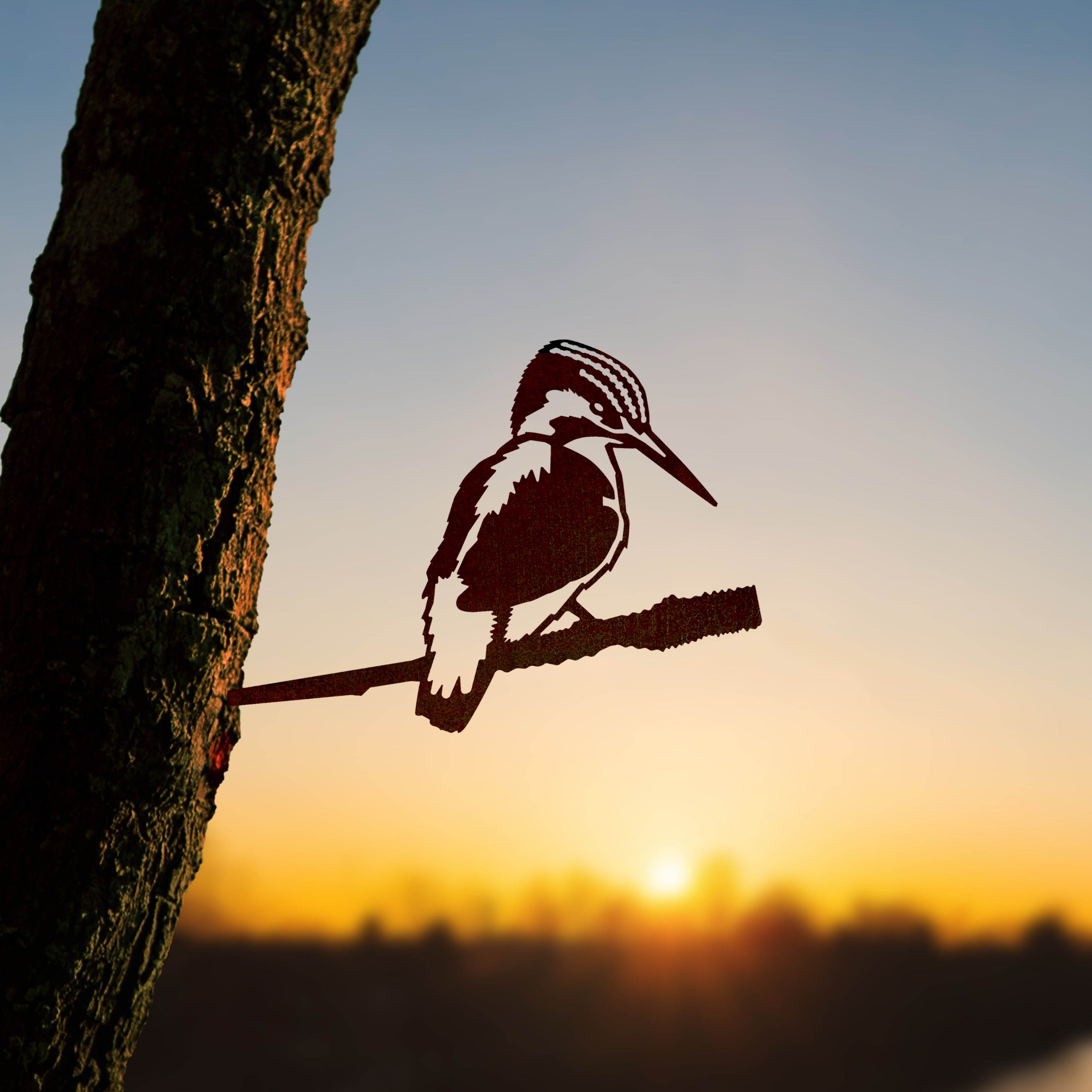 Common Kingfisher