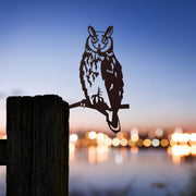 Long-Earred Owl