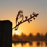 Tree Pipit