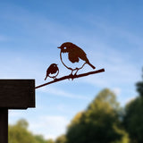 Robin And Chick