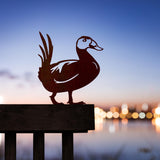 White Headed Duck