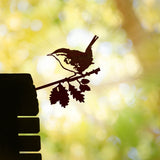 Wren