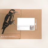 Great Spotted Woodpecker